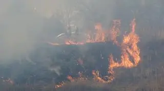 Pożar traw w okolicy mostu Siekierkowskiego