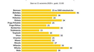 Statystyki dotyczące głosowania 