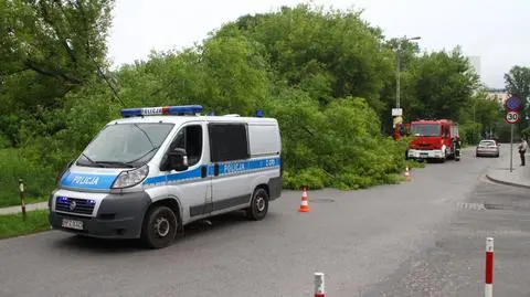 Drzewo spadło na jadące volvo