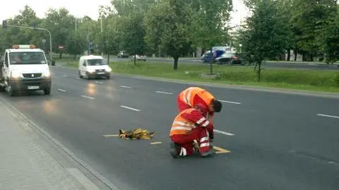 Zrywają vipowski buspas ze Żwirki i Wigury