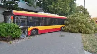 Autobus uderzył w drzewo