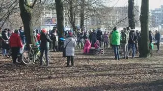 Protest przeciwko wycince drzew w Parku Powstańców Warszawy