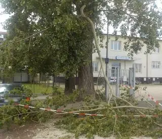 Strażnicy miejscy i strażacy interweniowali na Grochowie