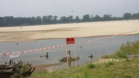 Ludzie wyciągają pisklaki z gniazd, psy zjadają jaja. "W ogóle nie powinni się znaleźć w tych miejscach"