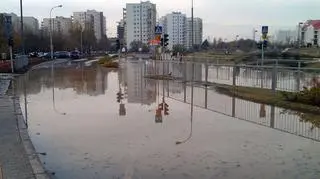 fot. Lech Marcinczak/tvnwarszawa.pl