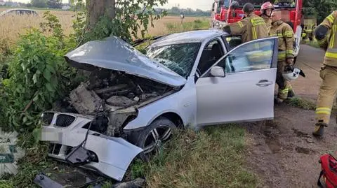 Do zdarzenia doszło w miejscowości Radzymin koło Płońska