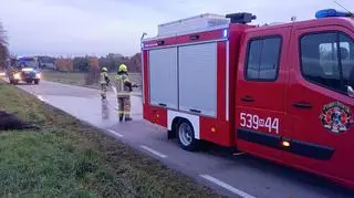 Auto osobowe zderzyło się z łosiem w gminie Pomiechówek