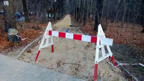 Protest w Lesie Bielańskim. "Przeciw skandalicznej budowie chodnika"