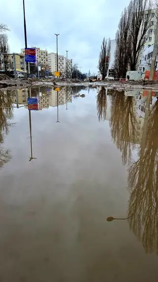 Tramwaj do Wilanowa. Prace na odcinku