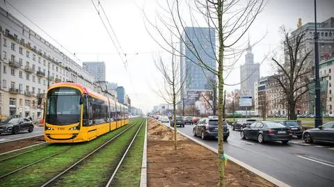 Sadzenie drzew wzdłuż torowiska na Marszałkowskiej