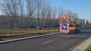 Nowe drzewa przy Sobieskiego