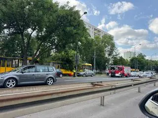 Konar spadł na tory tramwajowe 