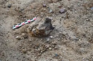 Badania archeologiczne na stanowisku neandertalczyka w Zwoleniu