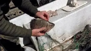 Łowił przy użyciu sieci, stanie przed sądem