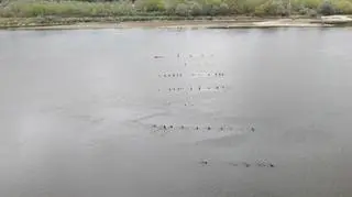 Wisła odsłoniła zatopioną łódź
