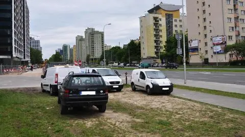 Trawnik czy parking? Zniszczonych 70 tys. m kw. zieleni