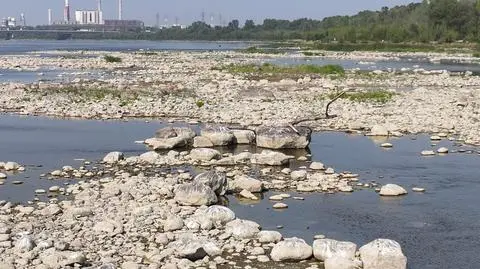 Kapryśna Wisła już raz oddała zabytki z czasów potopu szwedzkiego