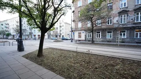Kilkadziesiąt nowych drzew i tysiące roślin. Wiosną Stalowa będzie bardziej zielona