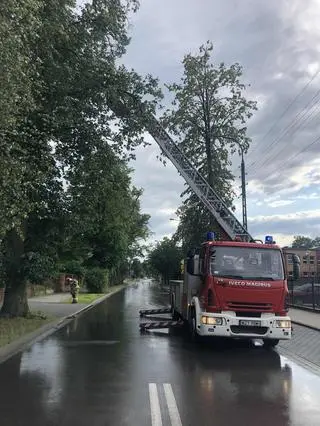 Drzewo przewróciło się na dom w Żyrardowie 