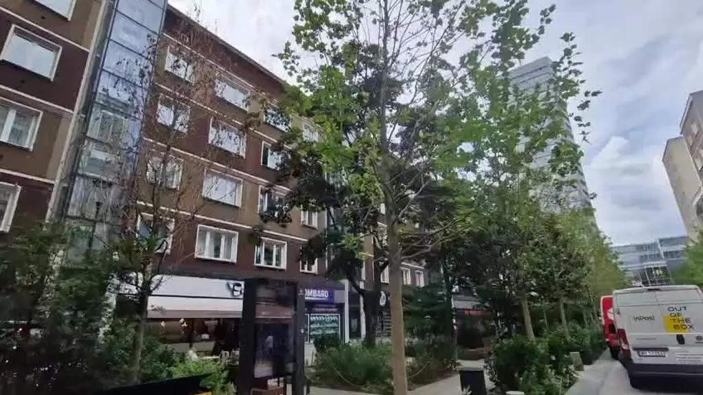 Trzy uschnięte platany przy Chmielnej