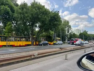 Konar spadł na tory tramwajowe 