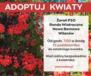 Można adoptować kwiaty z pętli