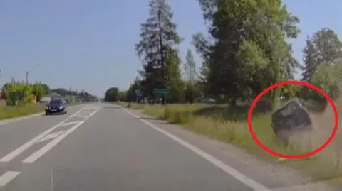 81-letni kierowca uderzył w drzewo