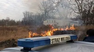 Pożar nieużytków na Targówku