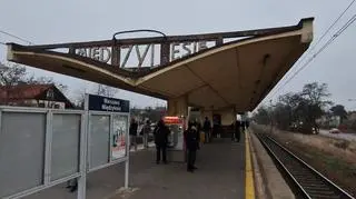 Uszkodzona trakcja podczas wycinki drzew, odwołane i opóźnione pociągi