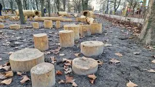 Naturalny plac zabaw w Parku Bródnowskim