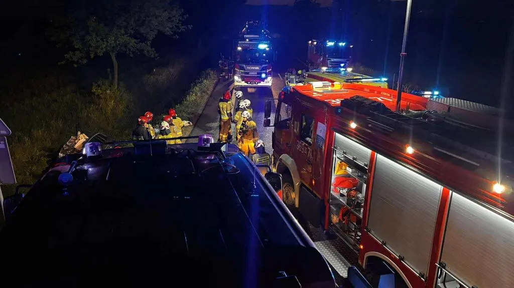 Zderzenie z łosiem. Jedna osoba w szpitalu 