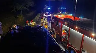 Zderzenie z łosiem. Jedna osoba w szpitalu 
