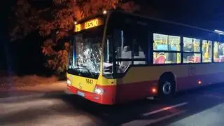 Kolizja z udziałem jelenia w miejscowości Leszno
