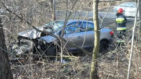 Zjechał z drogi i zniknął. Płochocińska była zamknięta, strażacy karczowali las