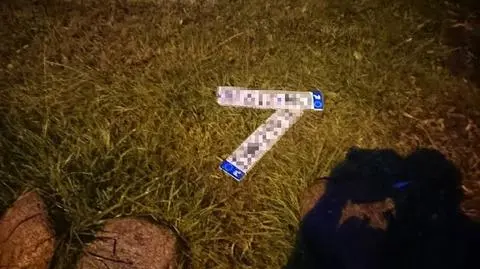 Ta sama rejestracja, dwa auta. Jedną "wykonano domowym sposobem i z plastiku" 