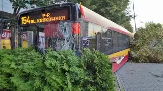 Autobus uderzył w drzewo