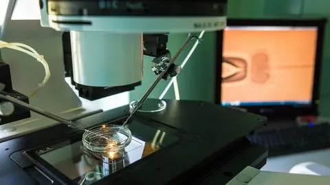 Mazowsze wesprze in vitro. Nawet 18 tysięcy złotych na parę