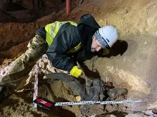 Poroże zostało znalezione w komorze torów odstawczych za stacją C21 Bródno