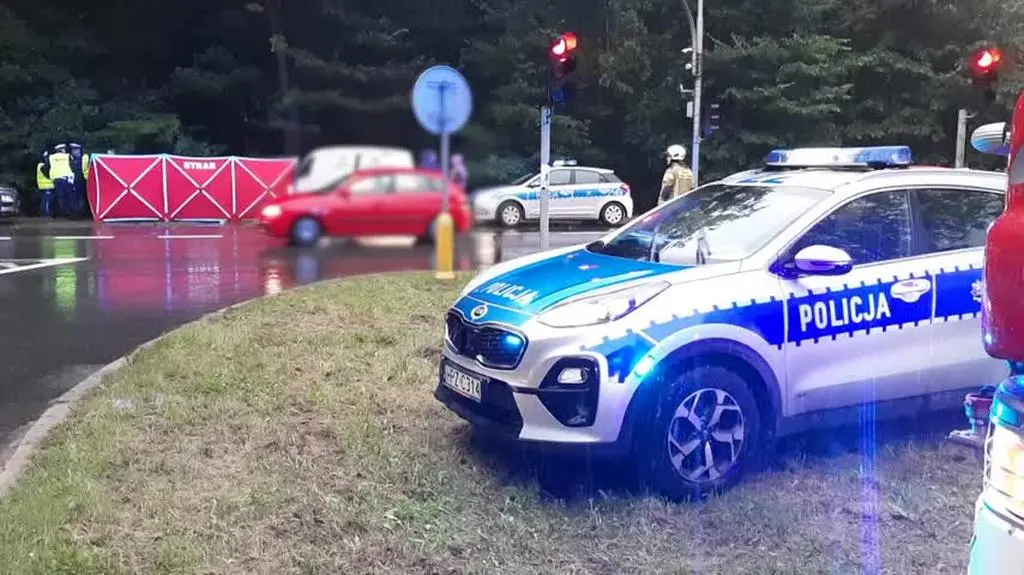 Śmiertelny wypadek na DK79 w Pilawie