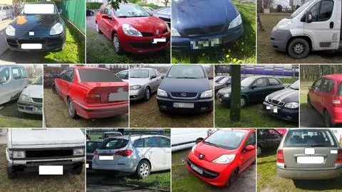 Plaga parkowania na trawnikach, sypią się mandaty