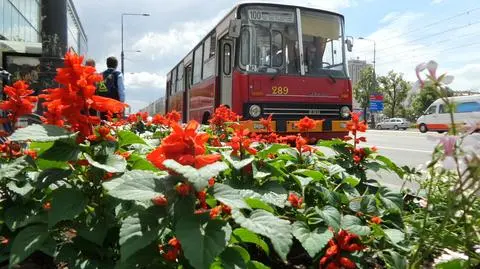 Autobus turystyczny wyjechał na ulice