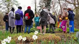 Spacer w Ogrodzie Botanicznym Uniwersytetu Warszawskiego 