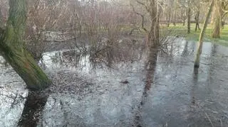 Podtopienia w parku Sady Żoliborskie