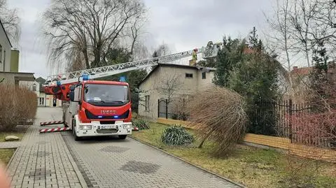 Drzewo przewróciło się na dom starszego mężczyzny. "Pan kategorycznie odmawia wszelkiej pomocy"