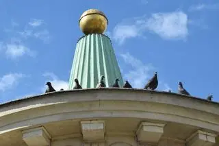 Gołębie z "Grubej Kaśki" czeka przeprowadzka 