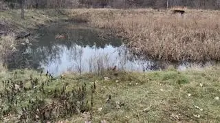 Zbiorniki na tyłach oczyszczalni Cyraneczka