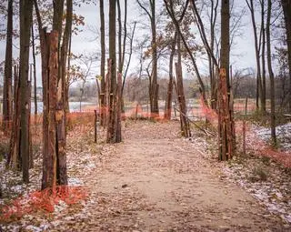 Park Żerański na Białołęce