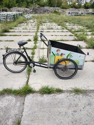 Flexi Cargo Bike wystawiony na sprzedaż