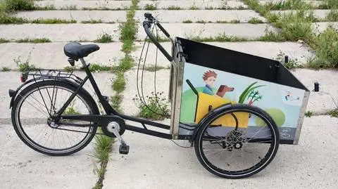 Flexi Cargo Bike wystawiony na sprzedaż