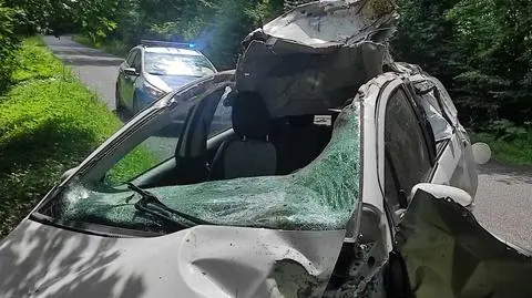 Auto po zderzeniu z łosiem